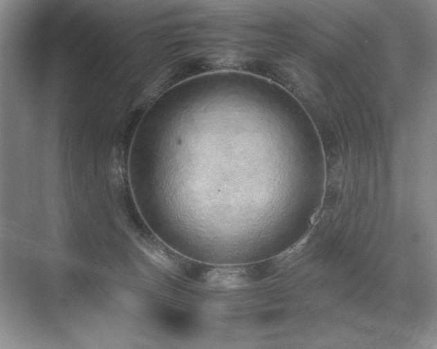 X0000071950179200607071219