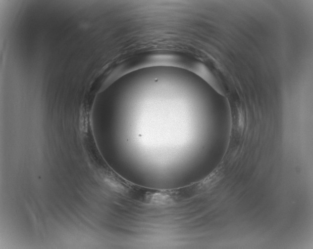 X0000071950180200607071219