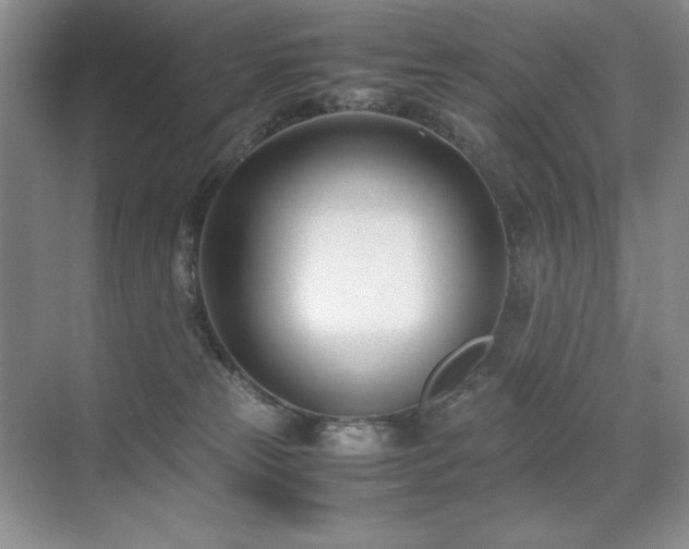 X0000071950181200607071219