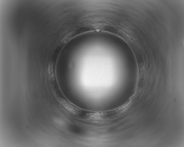 X0000071950182200607071219