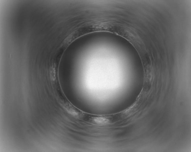 X0000071950183200607071219