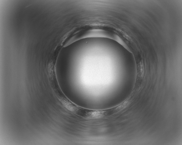 X0000071950184200607071219