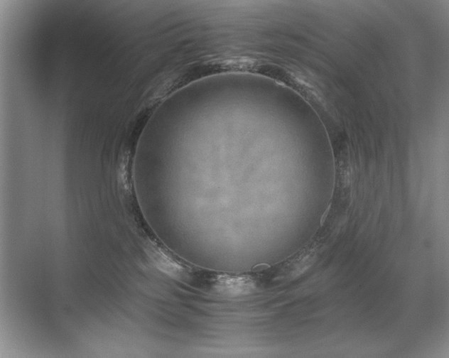 X0000071950185200607071219