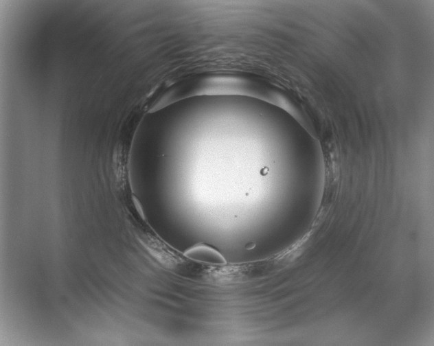 X0000071950186200607071219