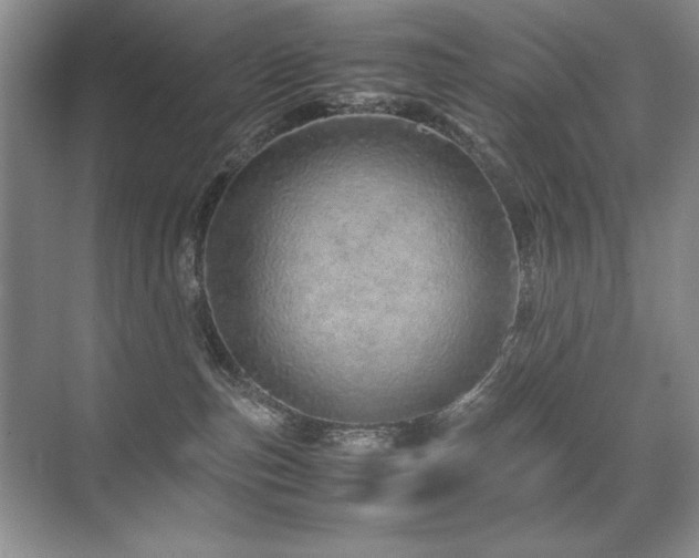 X0000071950187200607071219