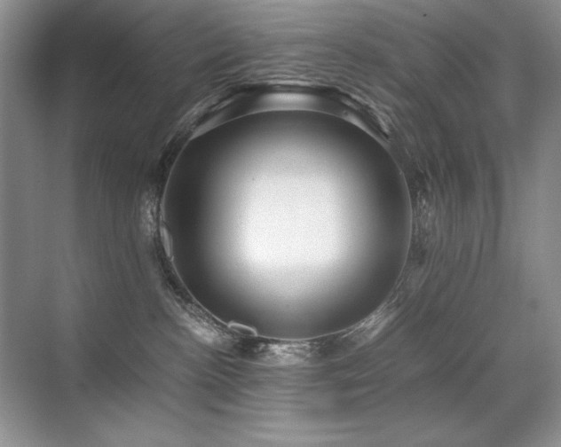 X0000071950188200607071219