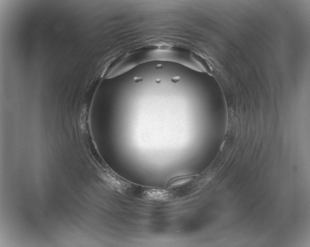 X0000071950189200607071219