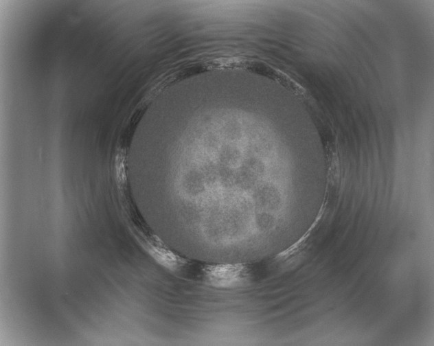 X0000071950191200607071219