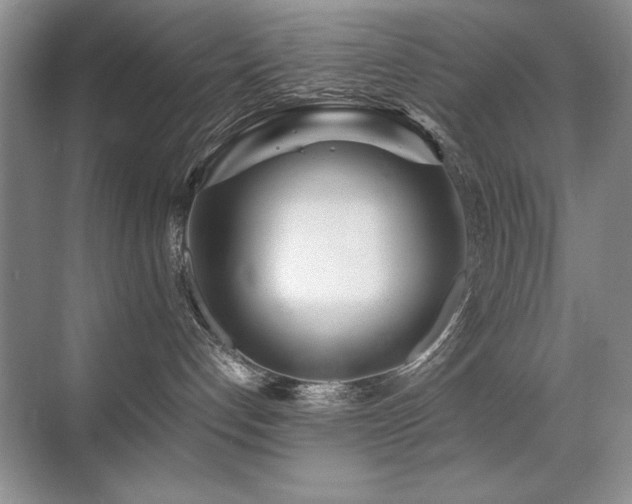 X0000071950192200607071220