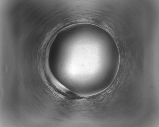 X0000071950193200607071219