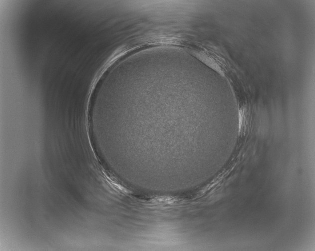 X0000071950195200607071219