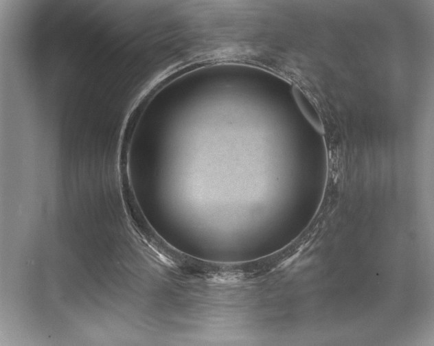 X0000071950196200607071219