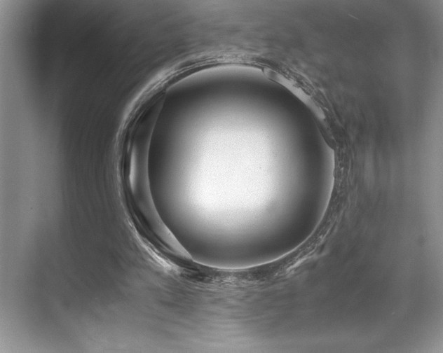 X0000071950197200607071219