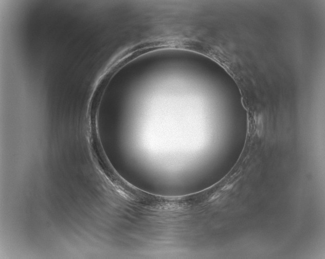 X0000071950198200607071219