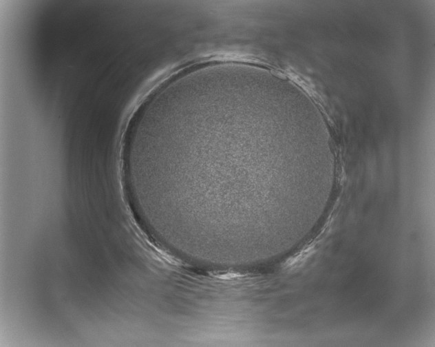 X0000071950199200607071219