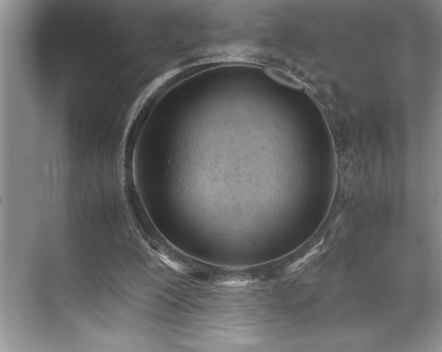 X0000071950200200607071219