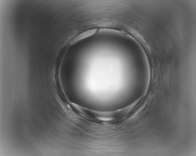 X0000071950201200607071219