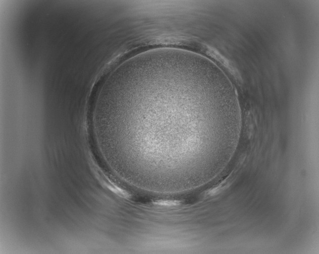 X0000071950203200607071219