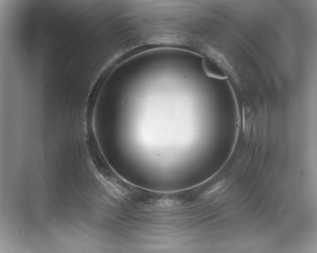 X0000071950204200607071219