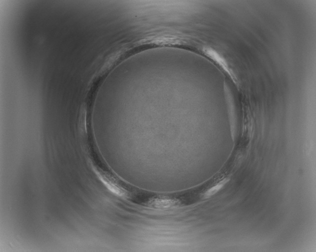 X0000071950205200607071218