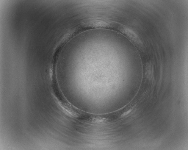 X0000071950206200607071218