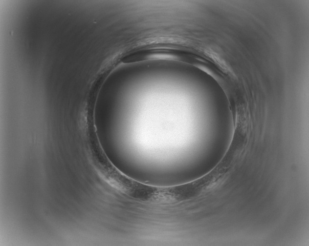 X0000071950207200607071218