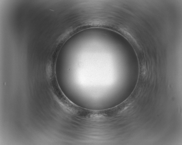 X0000071950208200607071218