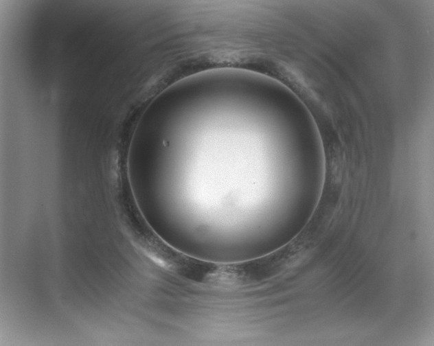 X0000071950211200607071218