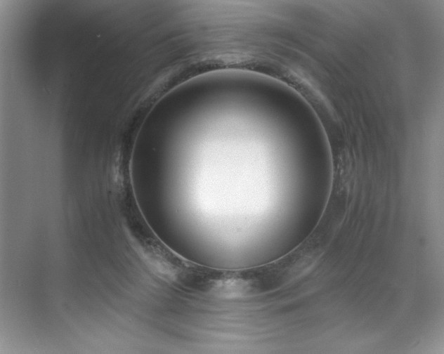 X0000071950212200607071218