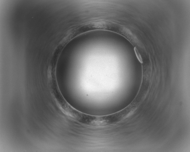 X0000071950213200607071218