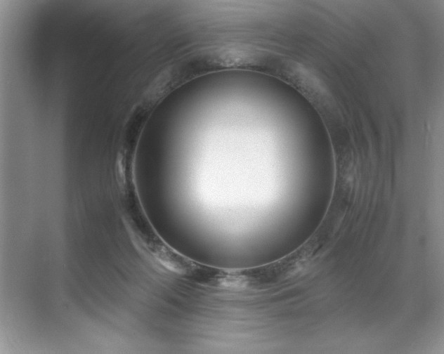 X0000071950214200607071218