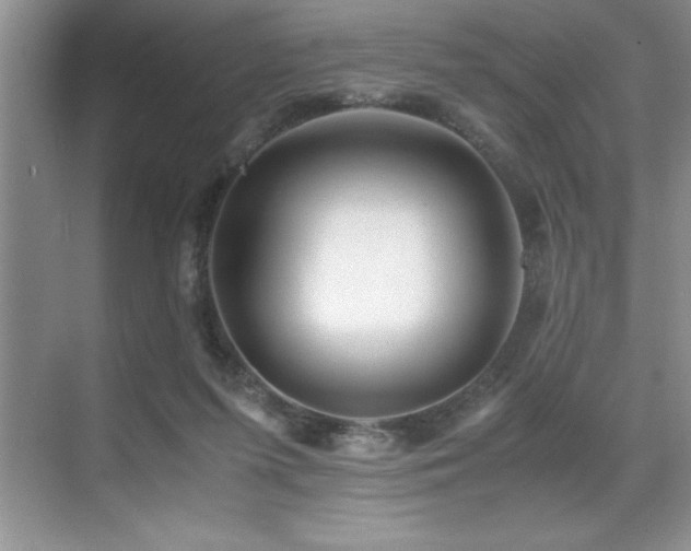 X0000071950215200607071218