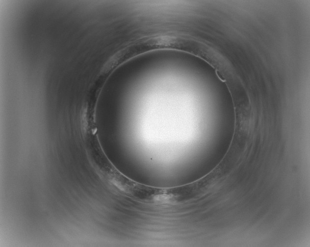 X0000071950216200607071218