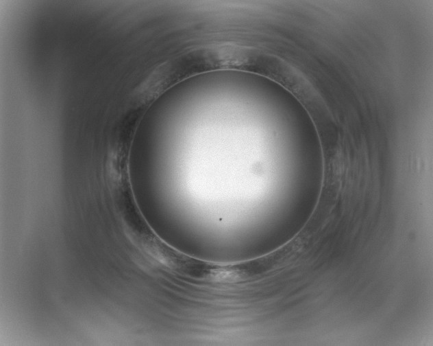 X0000071950218200607071218