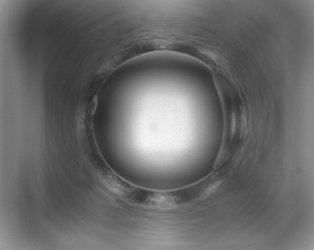 X0000071950221200607071218