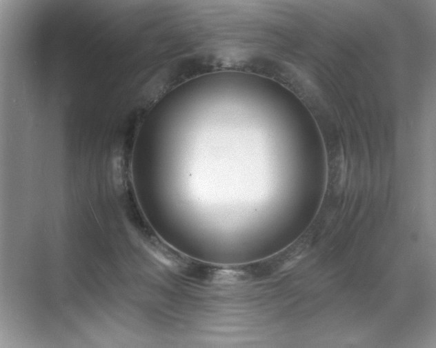 X0000071950222200607071218