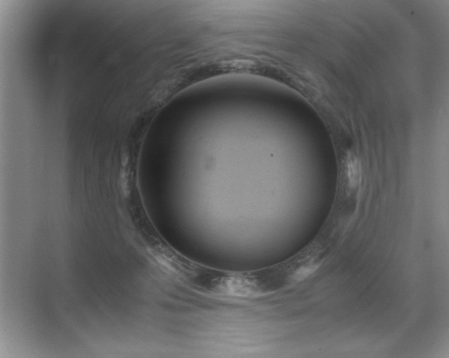 X0000071950223200607071218