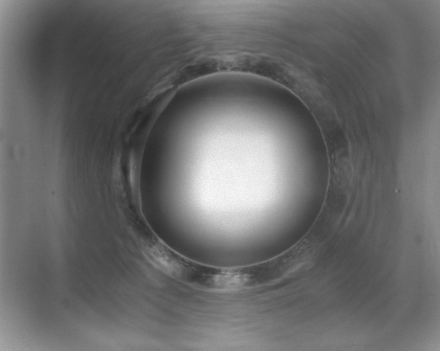 X0000071950225200607071218