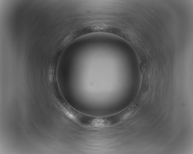 X0000071950227200607071218