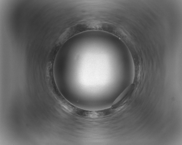 X0000071950229200607071218