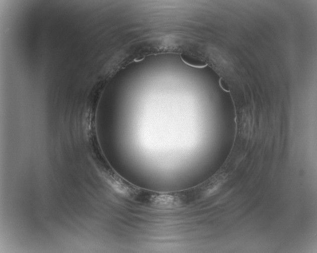 X0000071950230200607071218