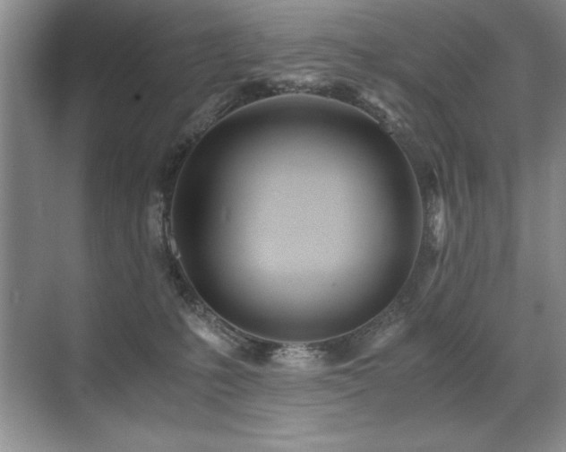 X0000071950231200607071218