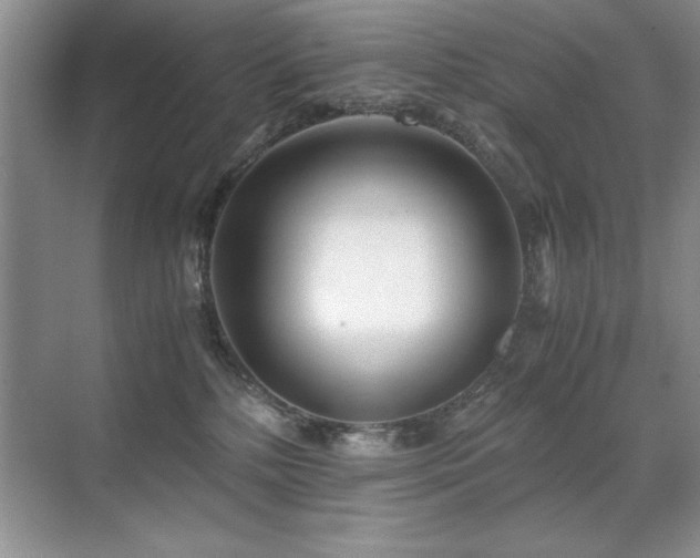 X0000071950232200607071218