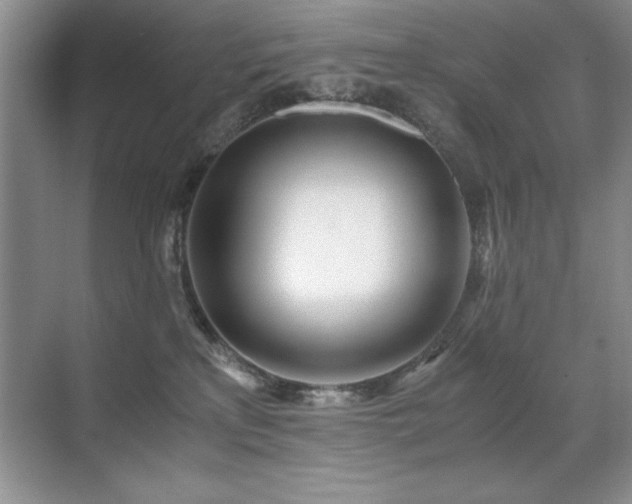 X0000071950233200607071218