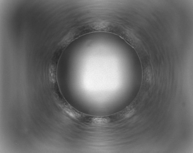 X0000071950234200607071218