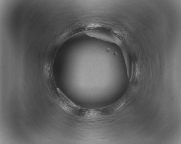 X0000071950235200607071218