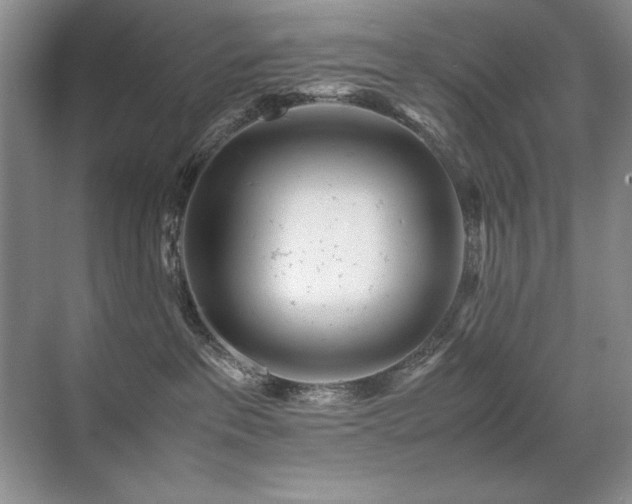 X0000071950237200607071218