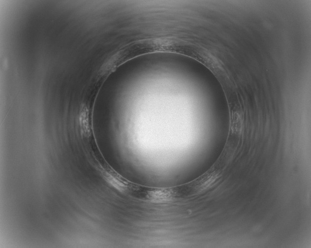 X0000071950238200607071218