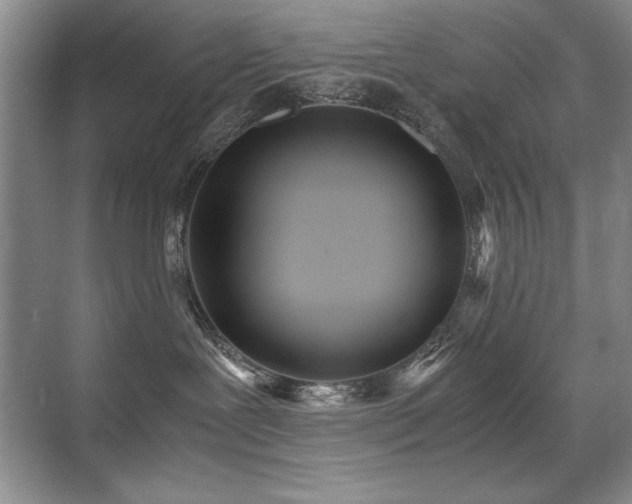 X0000071950239200607071218