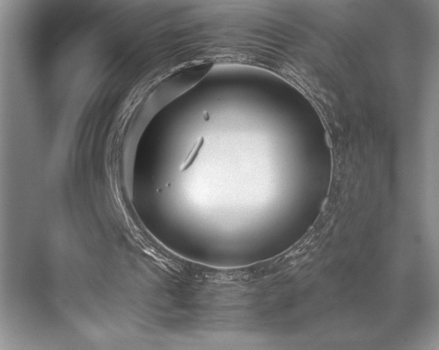 X0000071950241200607071217